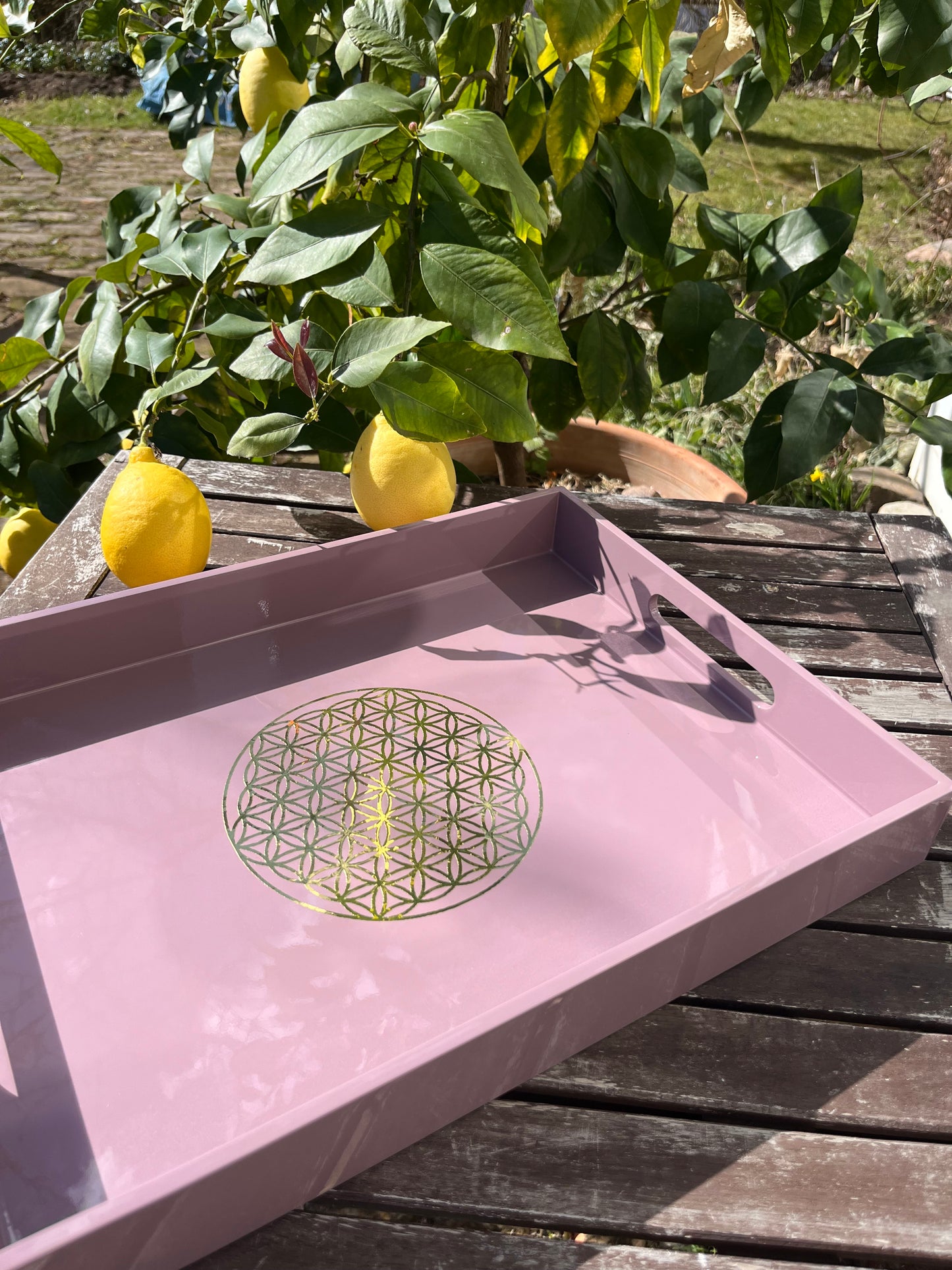 Tablett Laquer mauve