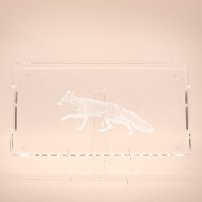 Acryltablett